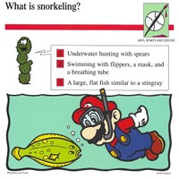 Snorkeling quiz card.jpg