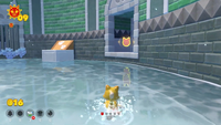 ClawswipeColosseumCatShineShard2.png