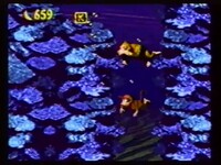 DKC Prerelease 659 Bananas.jpg