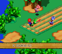 SMRPG YI Race.png