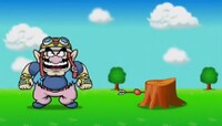 Wario The Archer (3).jpg