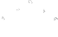 Boomerang Rally Tracks.png