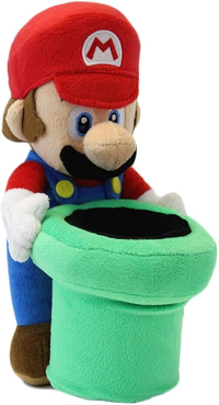 Mario Sanei Holding Warp Pipe.png