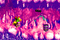 Pot Hole Panic DKC3 GBA.png