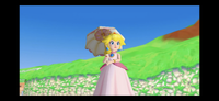 Princess Peach finds Mario HD.png