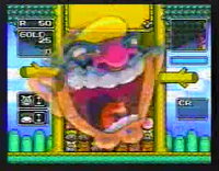 Wario'sWoodsCMWario.png