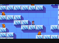 Igloo1SMWW.png