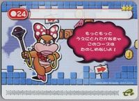 SMA4Card M24.jpg