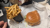 HalfBaked228 11.jpg