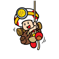 SM3DW BF CaptainToadStamp.png