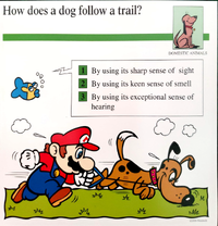 Dog trail quiz card.png