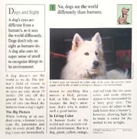 Dog vision quiz card back.png