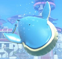 MKW Whale.jpg