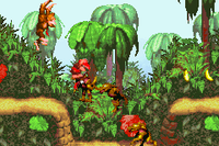 BarrelCannonCanyon-GBA-1.png
