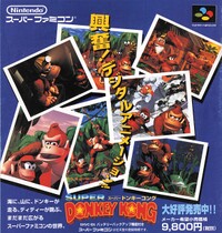 DKC JP print ad 4.jpg