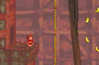 Misty Mine KONG Bonus.gif