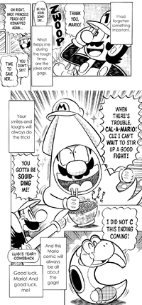 The End SMMM.png