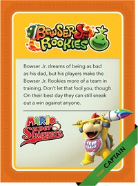Level3 Bowserjr Back.jpg