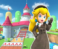 MKT Icon MarioCircuitRT3DS PeachWintertime.png