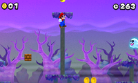NSMB2 WS-3 2nd Moon Coin.png