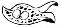 FlotsamKun.png