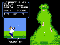 NM G Tee Shot.png