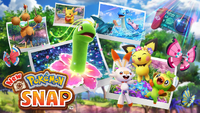 Hiding Koopa 170.png