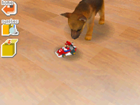 NM nintendogs Toy Mario Kart.png