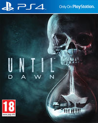 UntilDawn Boxart.jpg