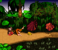 DKC Hand Slap screenshot.png