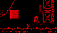 NM VBWL Banner.png