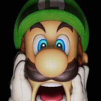 NI LM 3DS Released Photo.jpg