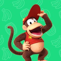 Play Nintendo Diddy Profile 2025.jpg