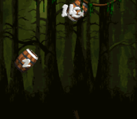 Barrel Bayou Bonus Area 2.png