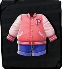 DKB Pastel Feast Apparel icon.jpg