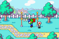 M&LSSToadLuigi.png