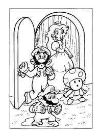 SMB Wundersame Abenteuer 7.png