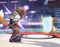 Mirror Shield Brawl.png