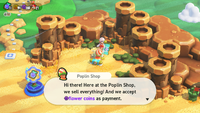 Poplin Shop - SMBW.png