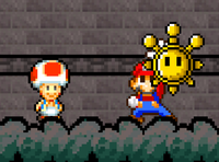 ShineGet195-7.png