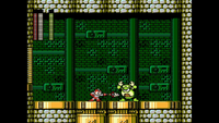 Shroom223 Toad Man fight.png