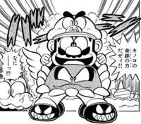 Miracle Mario SMKun.png