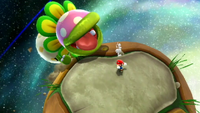 NM SMG2 Peewee Piranha.png