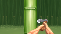 NM WWMI Chop to It.png
