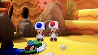 MLB Toad in the Sand.jpg