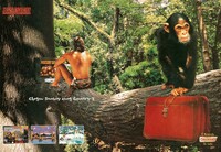 DKC3 Print ad BR.jpg