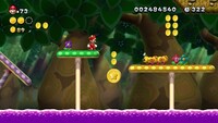 NSMBU 5-7 Coin 3.jpg