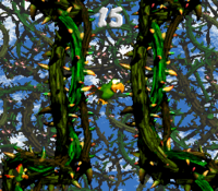Animal Antics Bonus Area.png