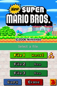 NSMB completion file screen.png