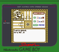 Picross 231-A Name.png